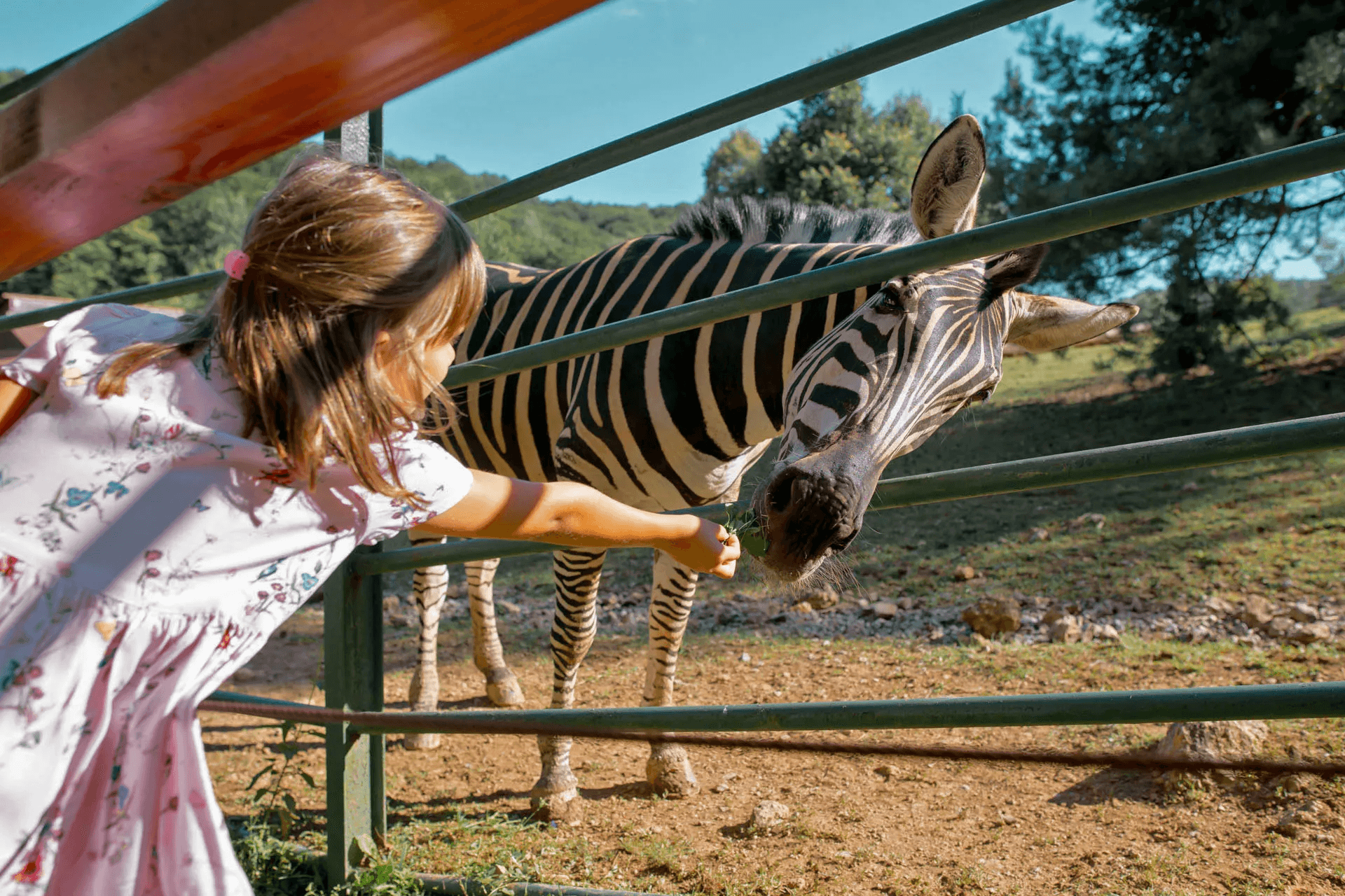 Košice Zoo & Botanical Garden